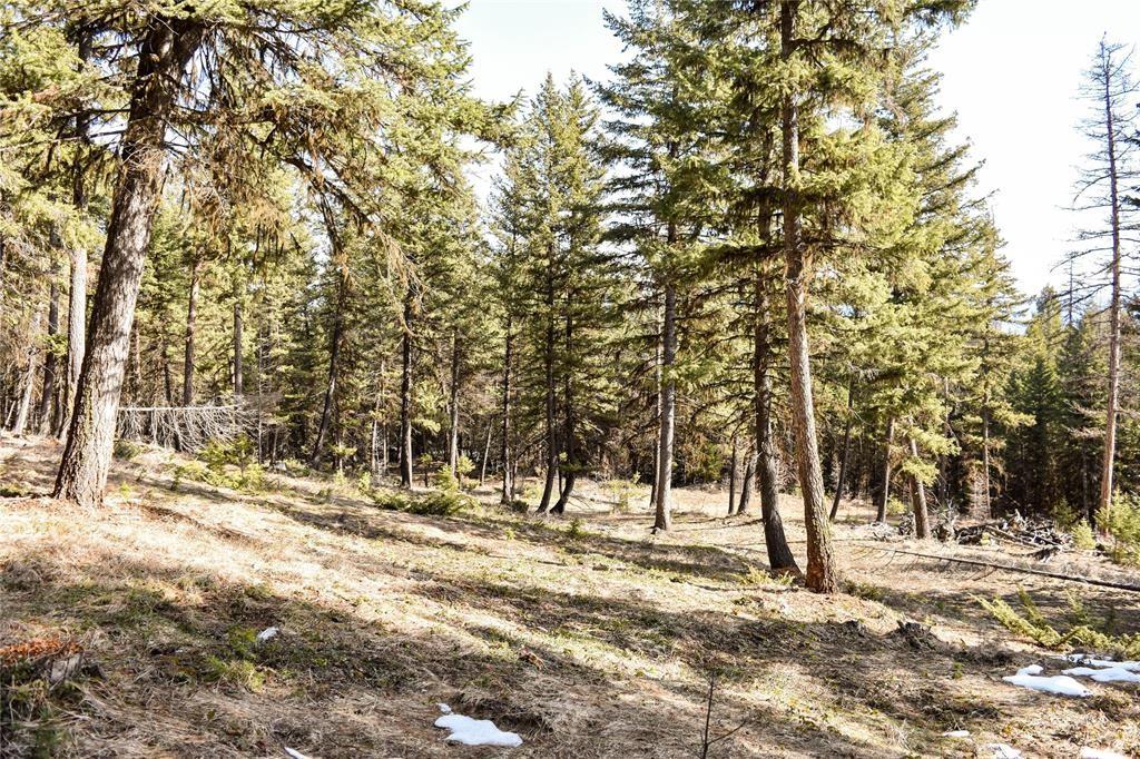 270 Tomahawk Trail Property Photo 2