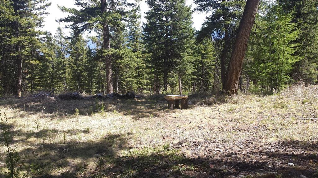 270 Tomahawk Trail Property Photo 3