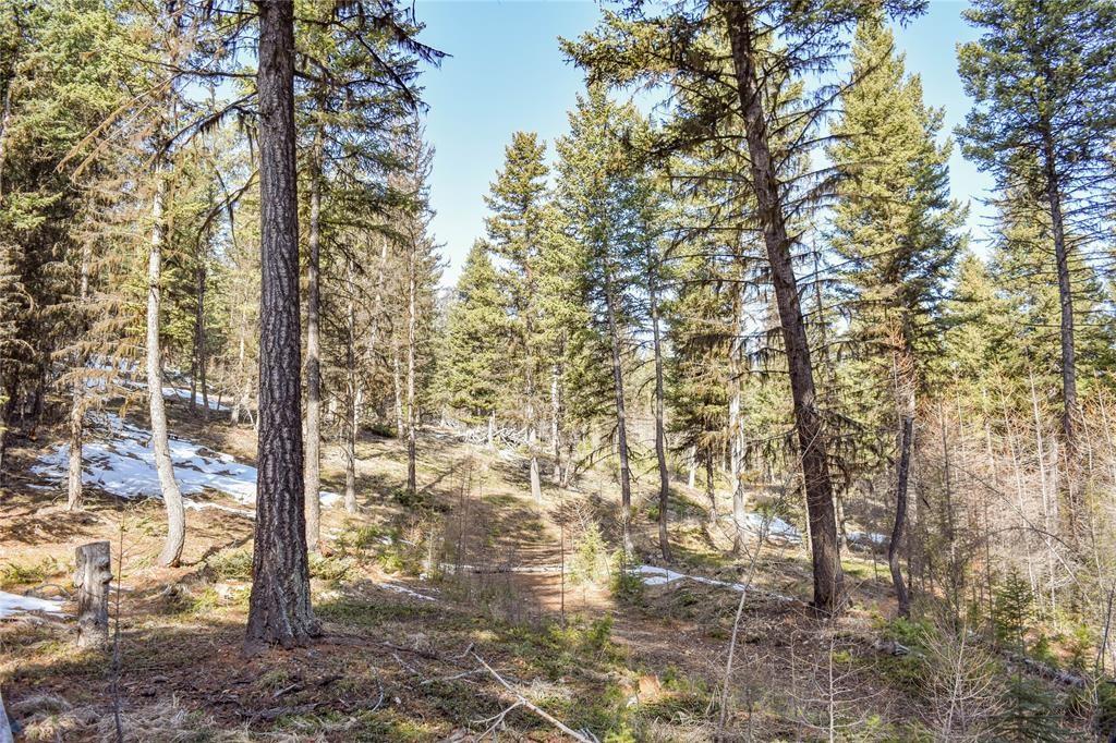 270 Tomahawk Trail Property Photo 4