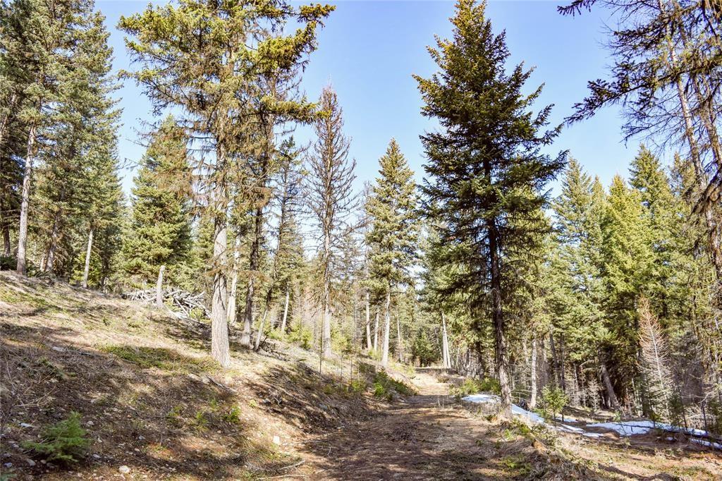 270 Tomahawk Trail Property Photo 6
