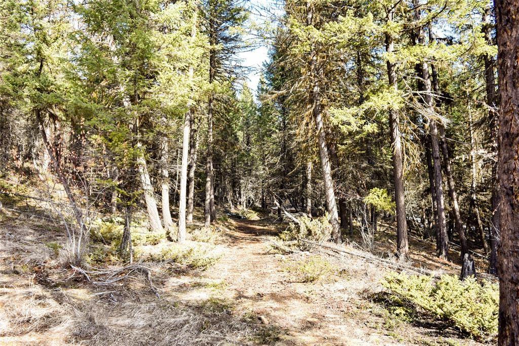 270 Tomahawk Trail Property Photo 8