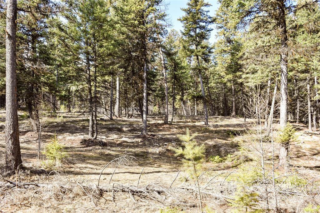 270 Tomahawk Trail Property Photo 9