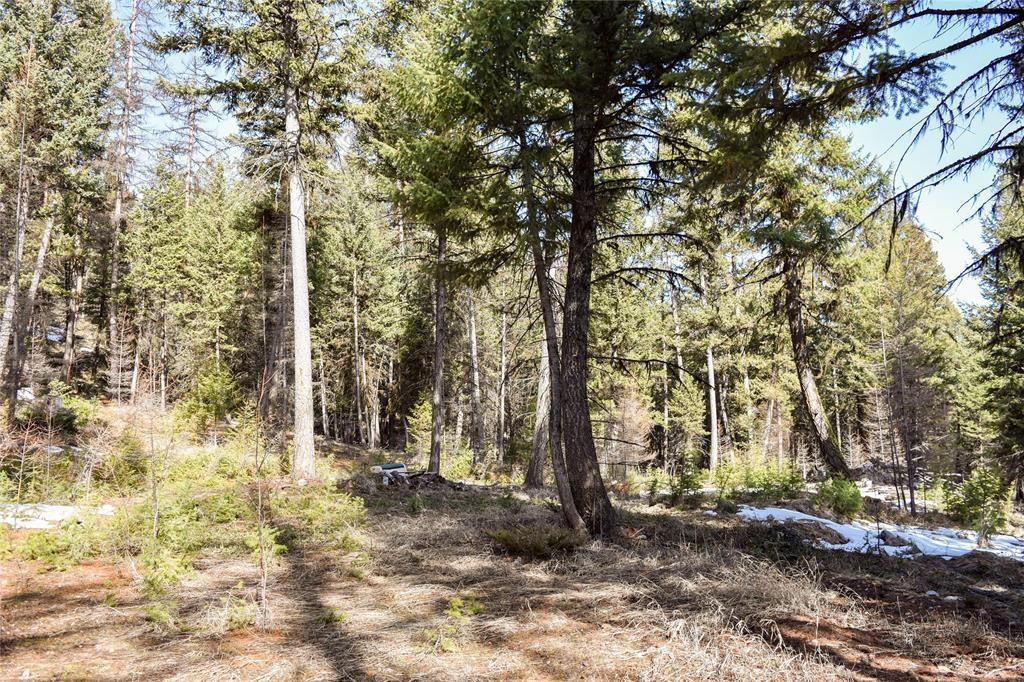 270 Tomahawk Trail Property Photo 12