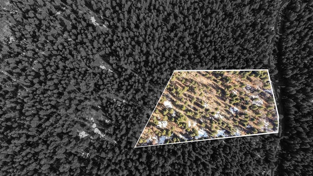 270 Tomahawk Trail Property Photo 15
