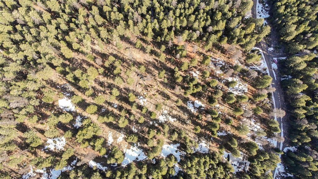 270 Tomahawk Trail Property Photo 16