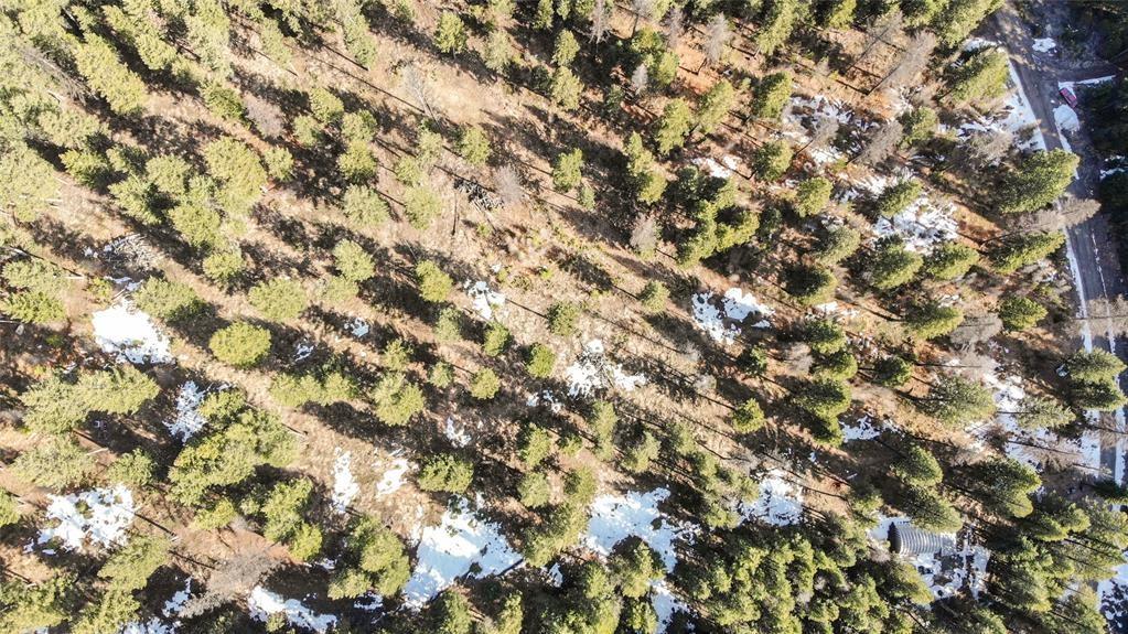 270 Tomahawk Trail Property Photo 17