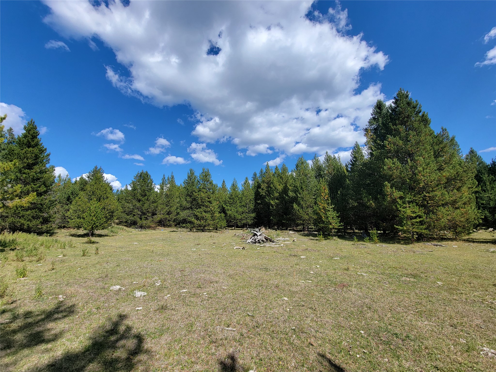 360 Discovery Loop Property Photo 2