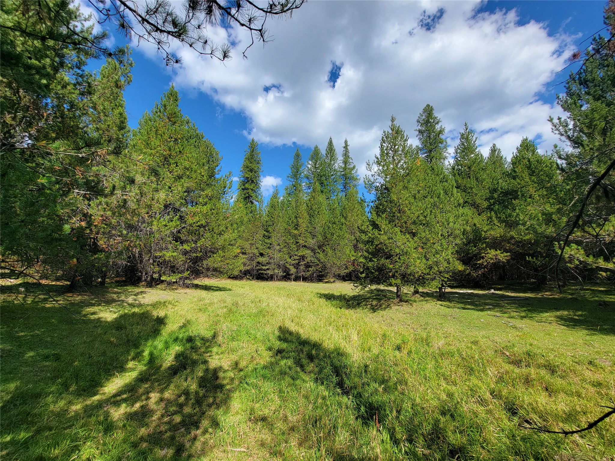 360 Discovery Loop Property Photo 3