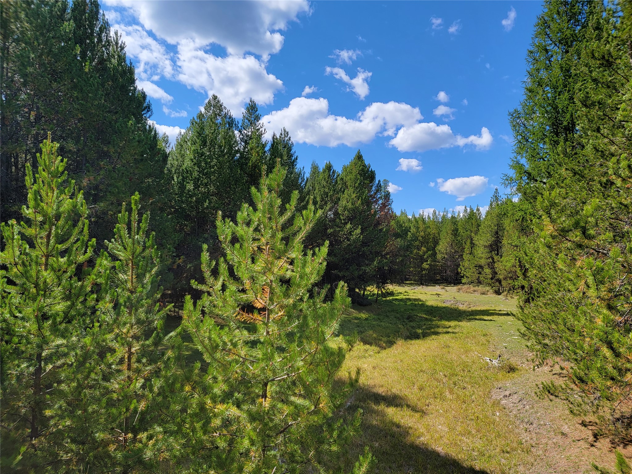 360 Discovery Loop Property Photo 4