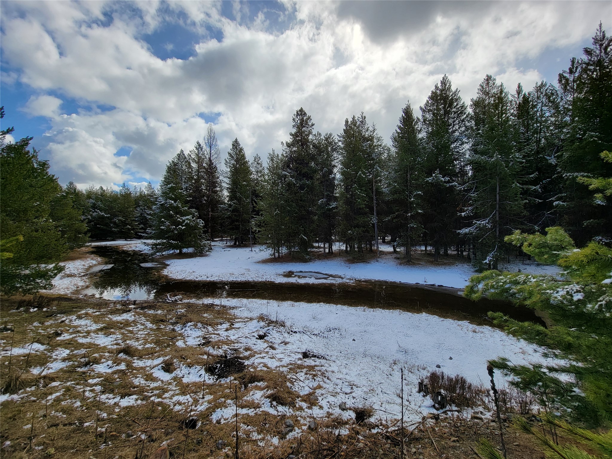 360 Discovery Loop Property Photo 6