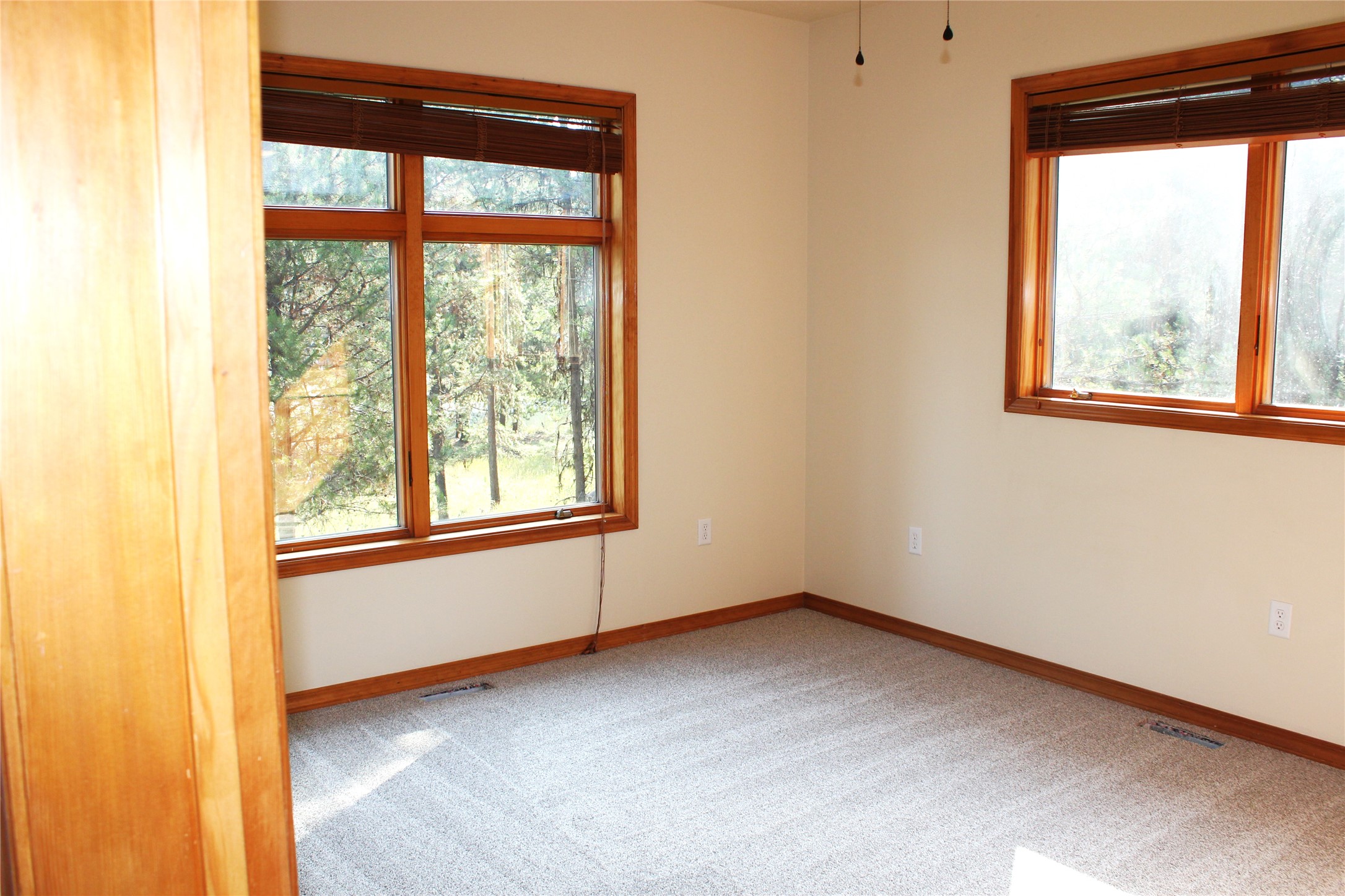337 Hauser Drive Property Photo 20