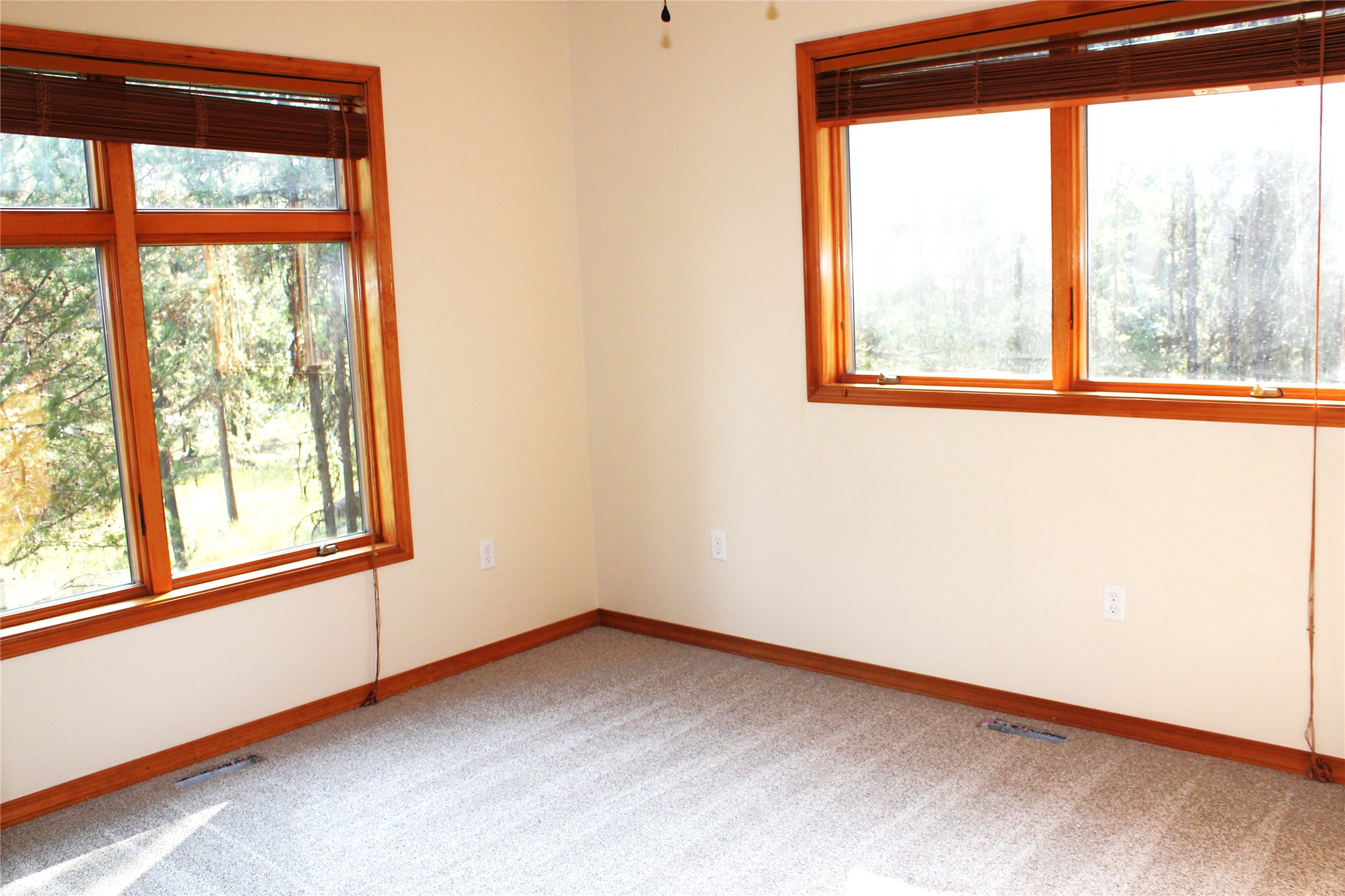 337 Hauser Drive Property Photo 23