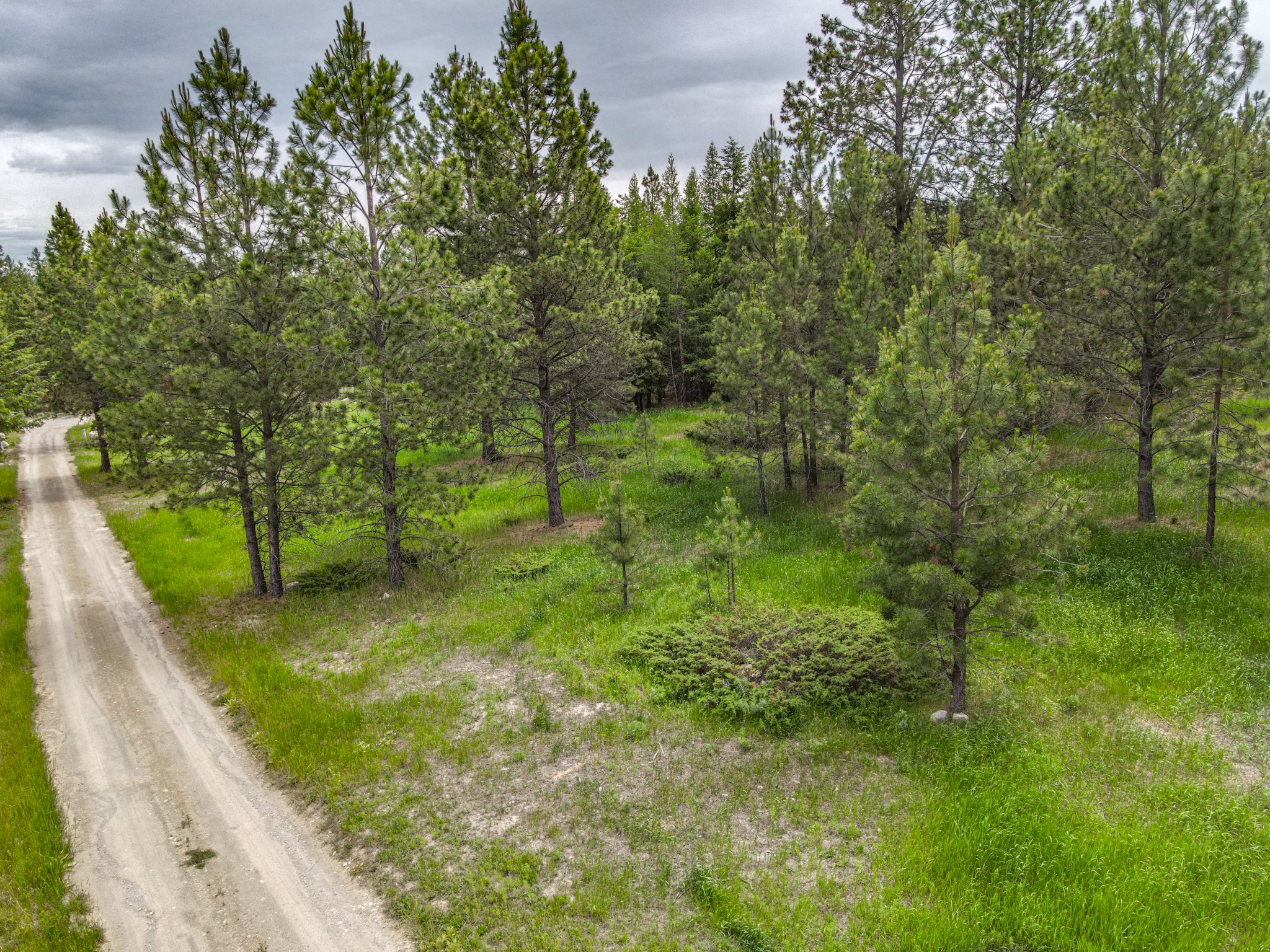 546 Bald Rock Road Property Photo 14