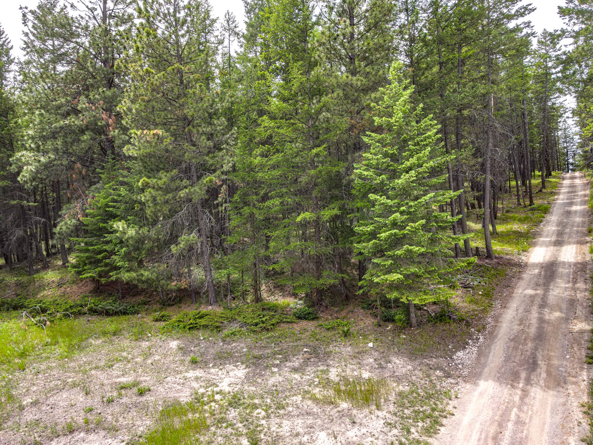 546 Bald Rock Road Property Photo 17