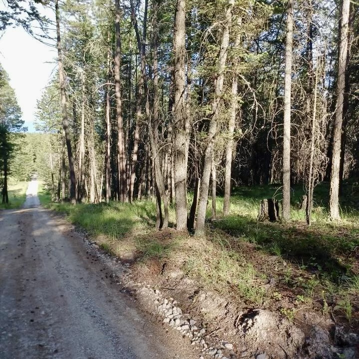 546 Bald Rock Road Property Photo 28