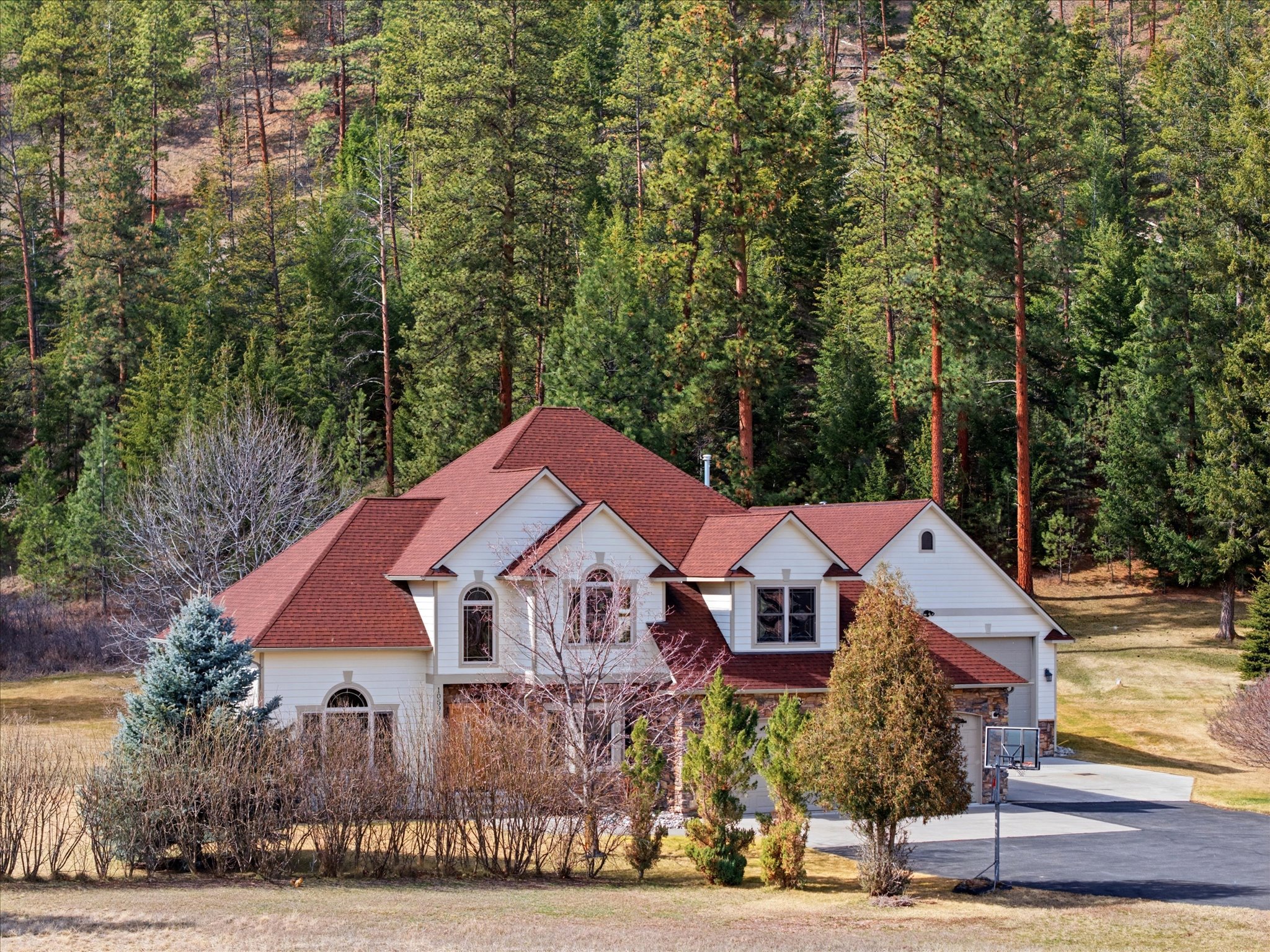 10596 Nez Perce Loop Property Photo 3