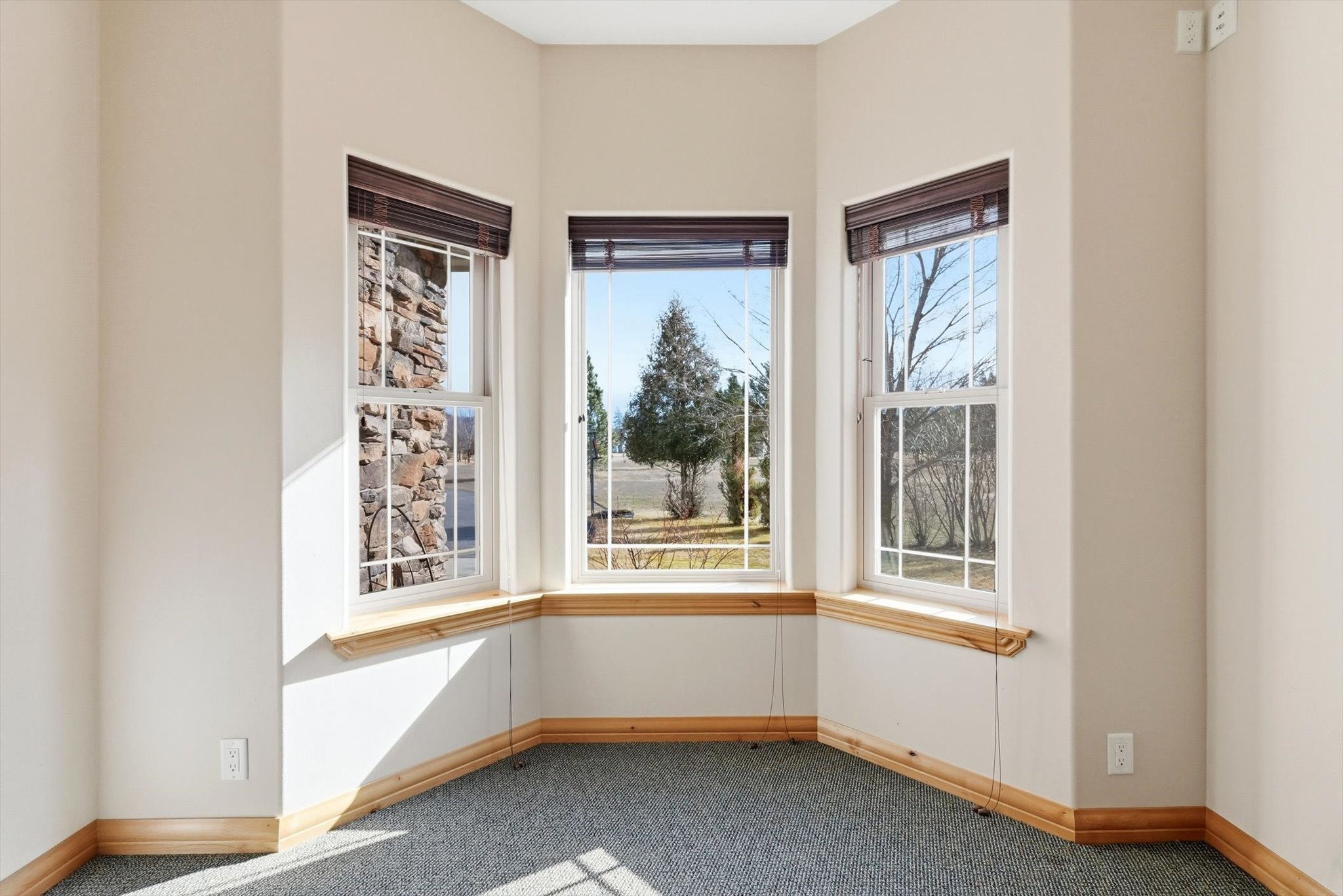 10596 Nez Perce Loop Property Photo 14