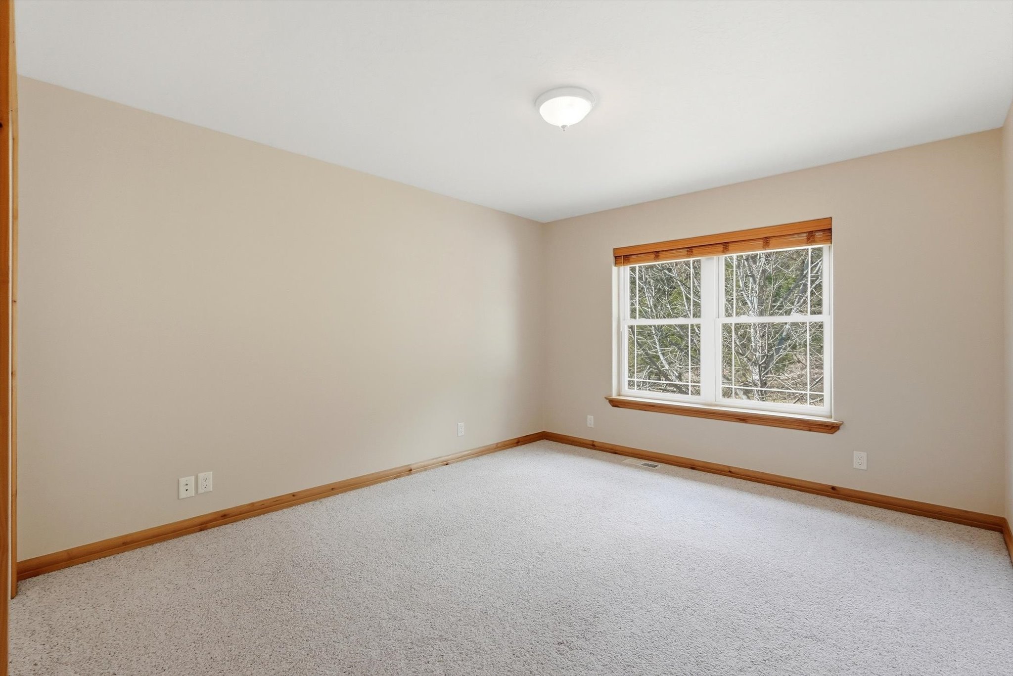10596 Nez Perce Loop Property Photo 31