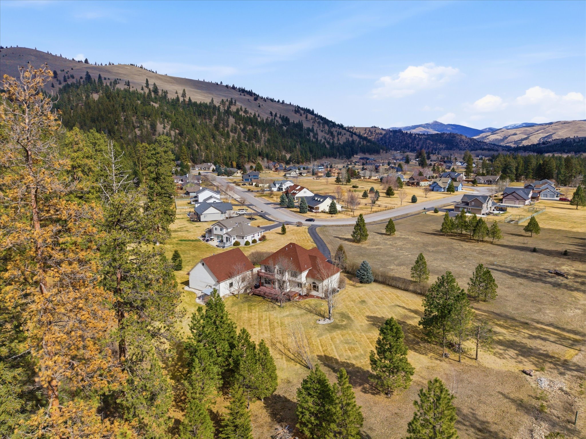 10596 Nez Perce Loop Property Photo 79