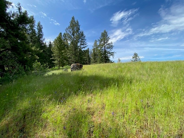 116 Prairie Lane Property Photo 6