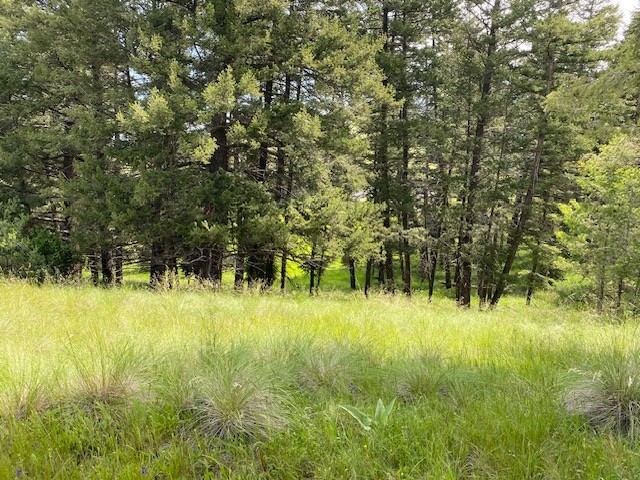 116 Prairie Lane Property Photo 8