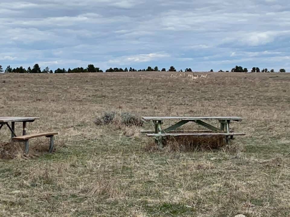 255 Smith Creek Road Property Photo 26