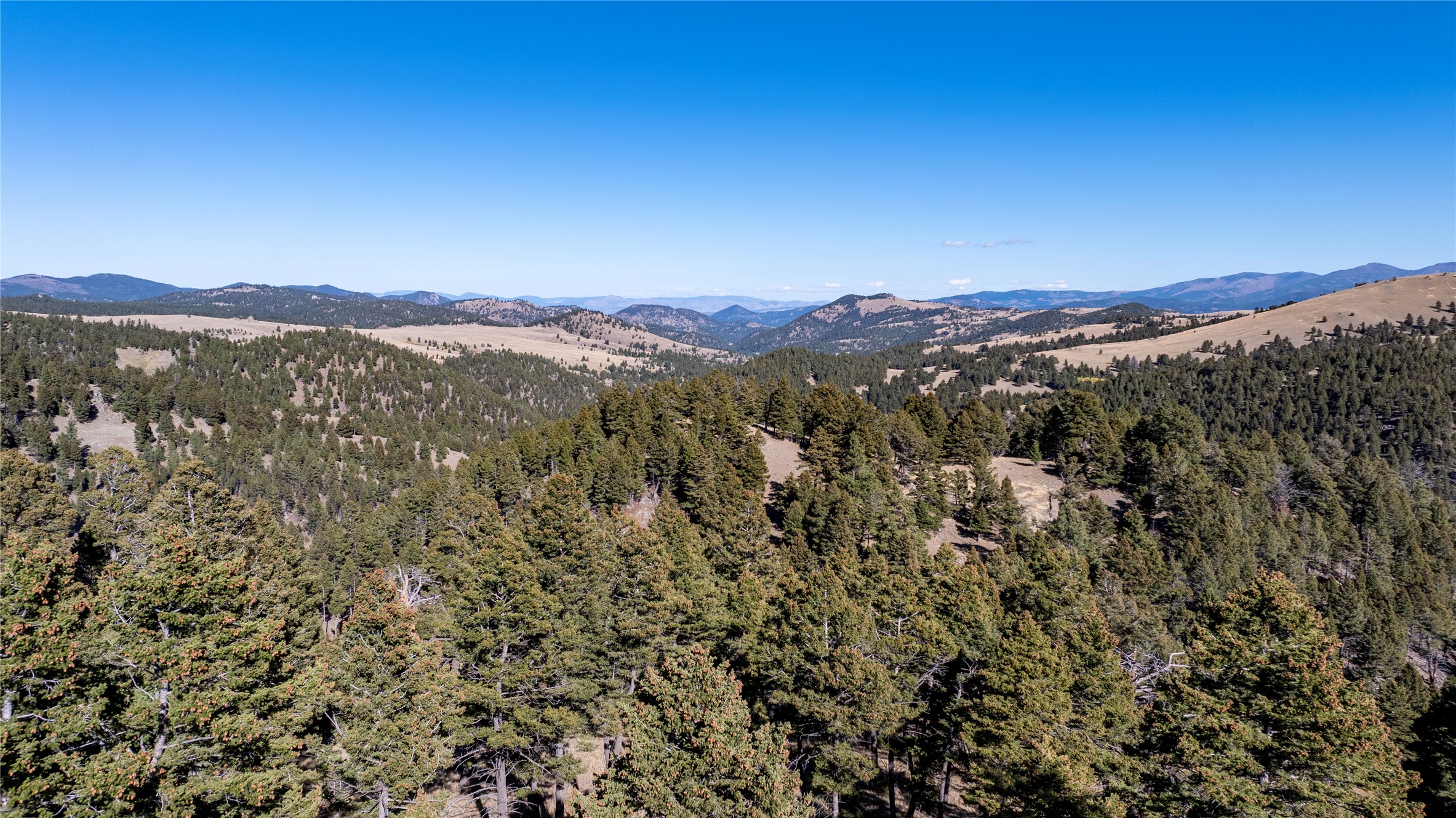 37 Quartz Creek Road Property Photo 57