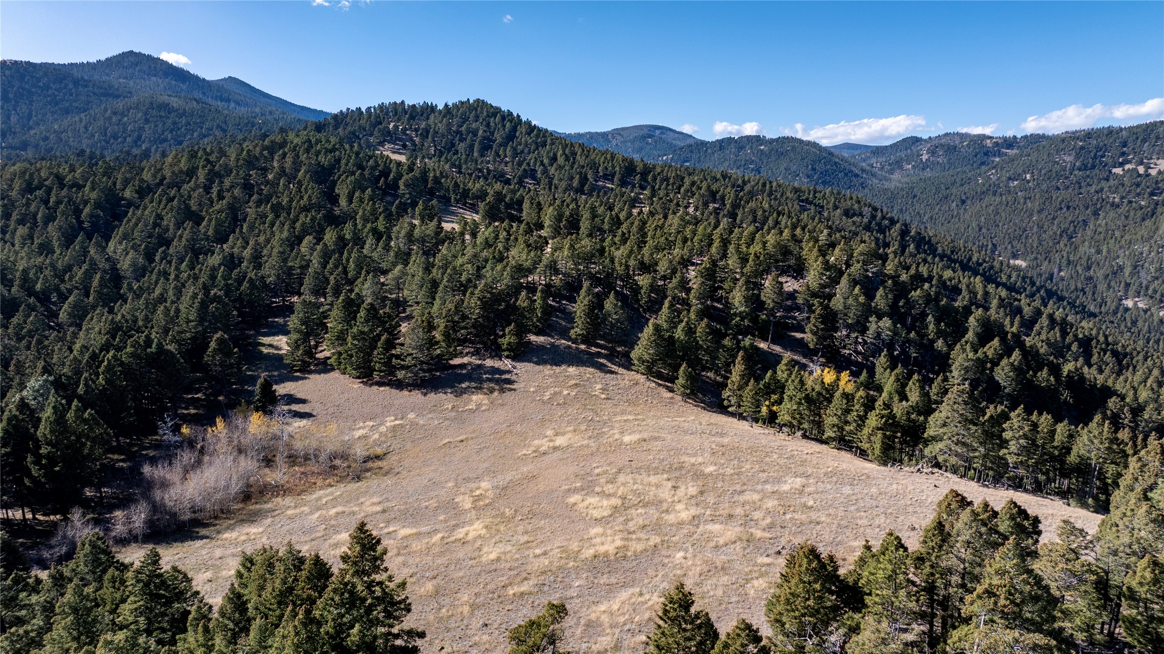 37 Quartz Creek Road Property Photo 60