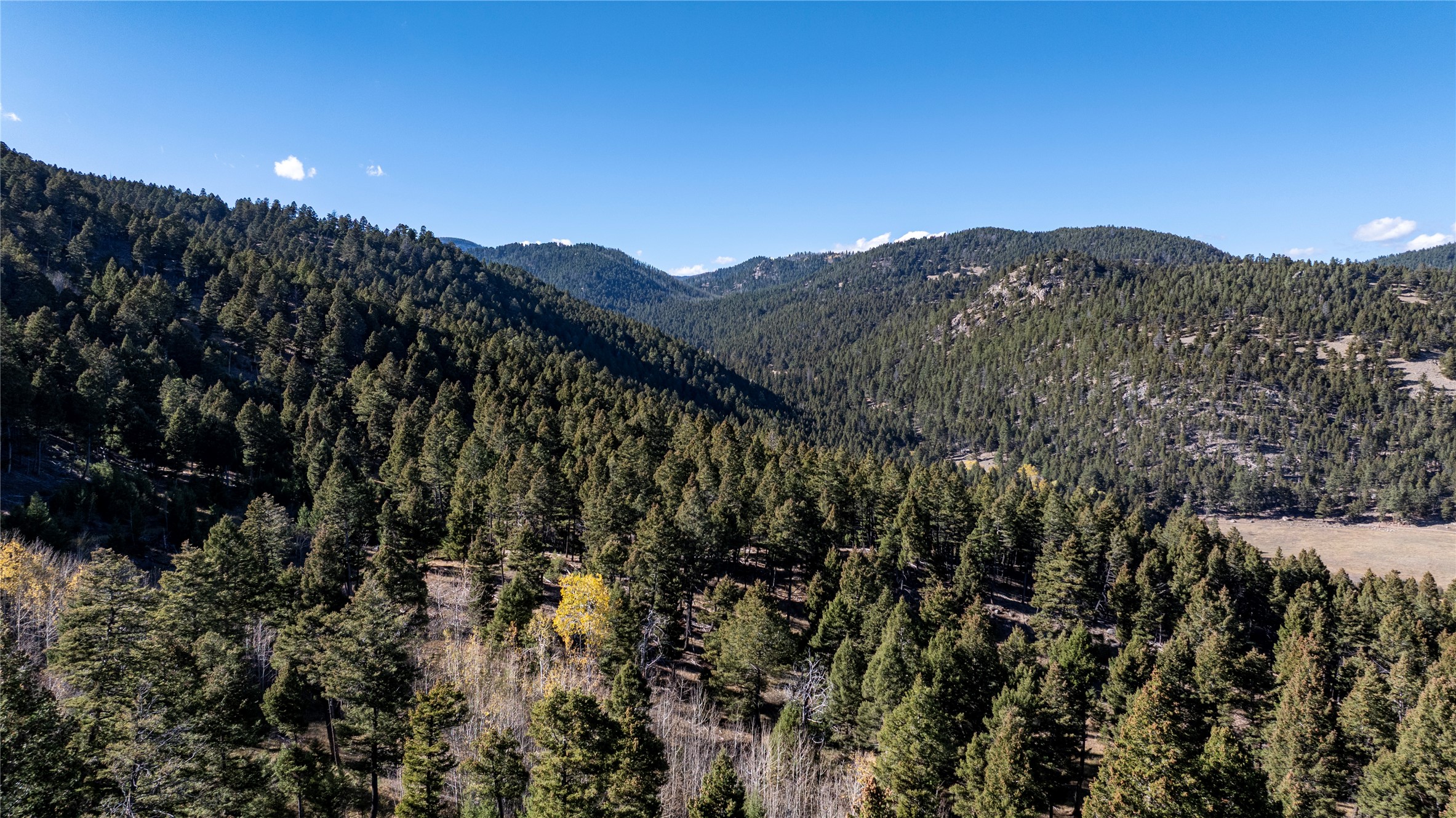 37 Quartz Creek Road Property Photo 64