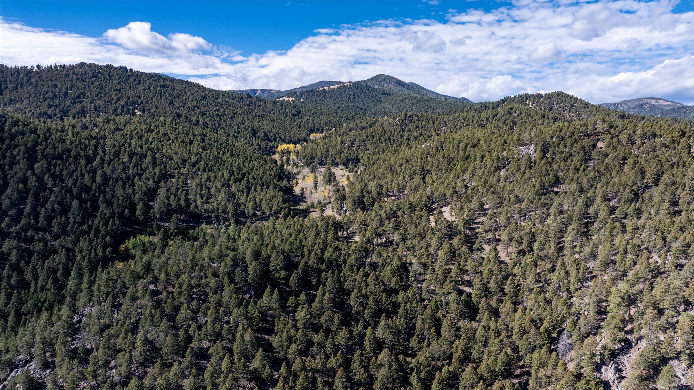 37 Quartz Creek Road Property Photo 65