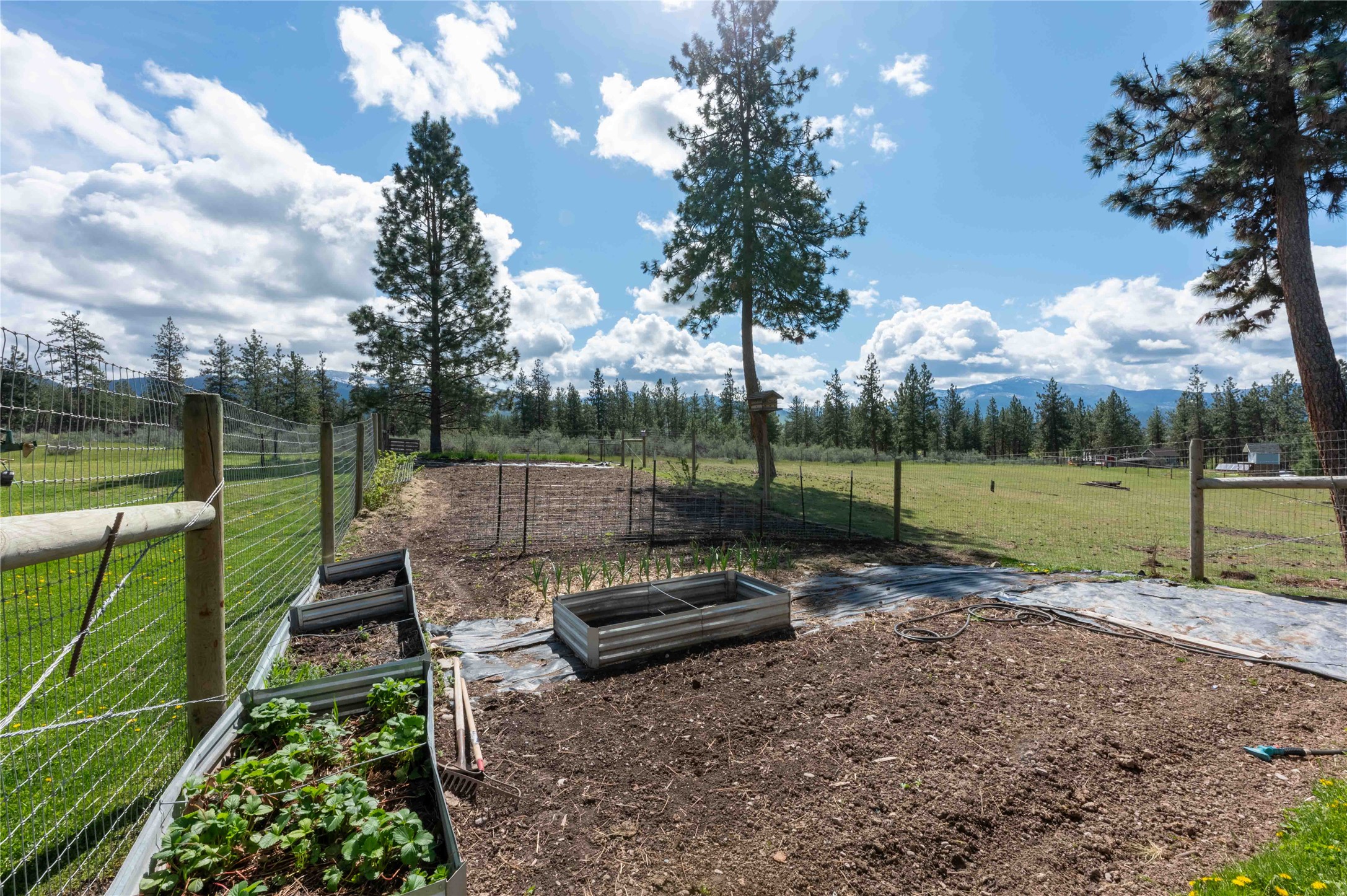 22 Pine Meadow Lane Property Photo 16