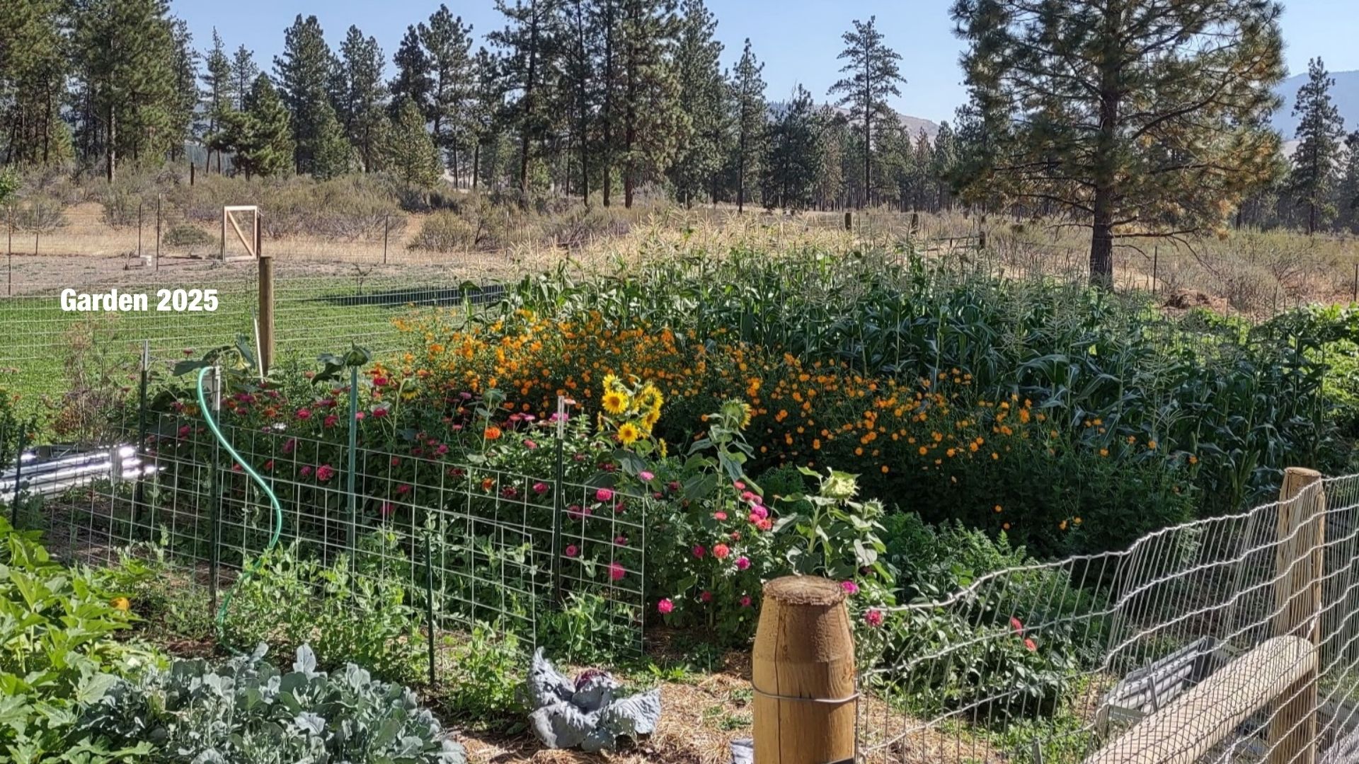 22 Pine Meadow Lane Property Photo 88