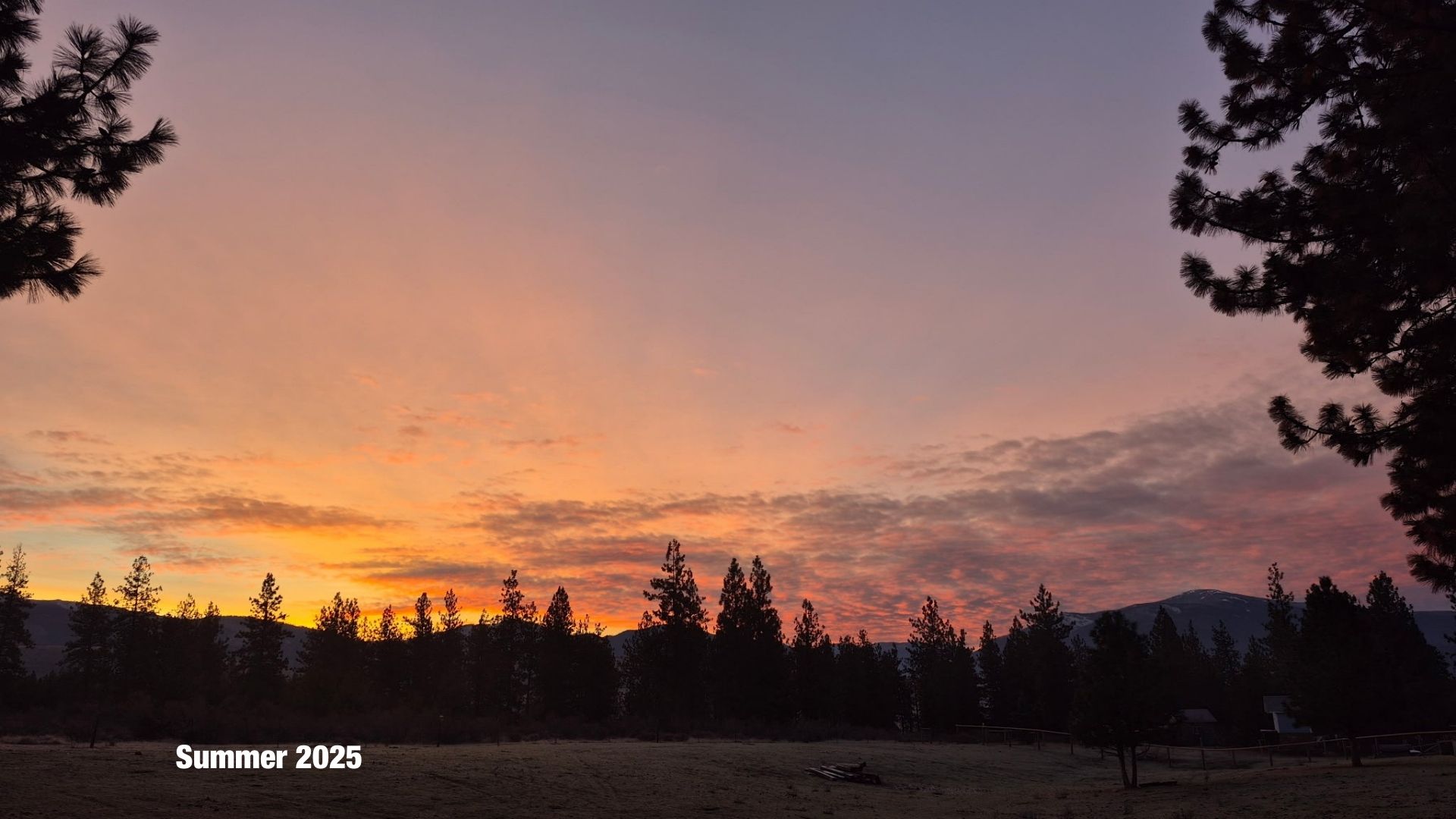 22 Pine Meadow Lane Property Photo 91