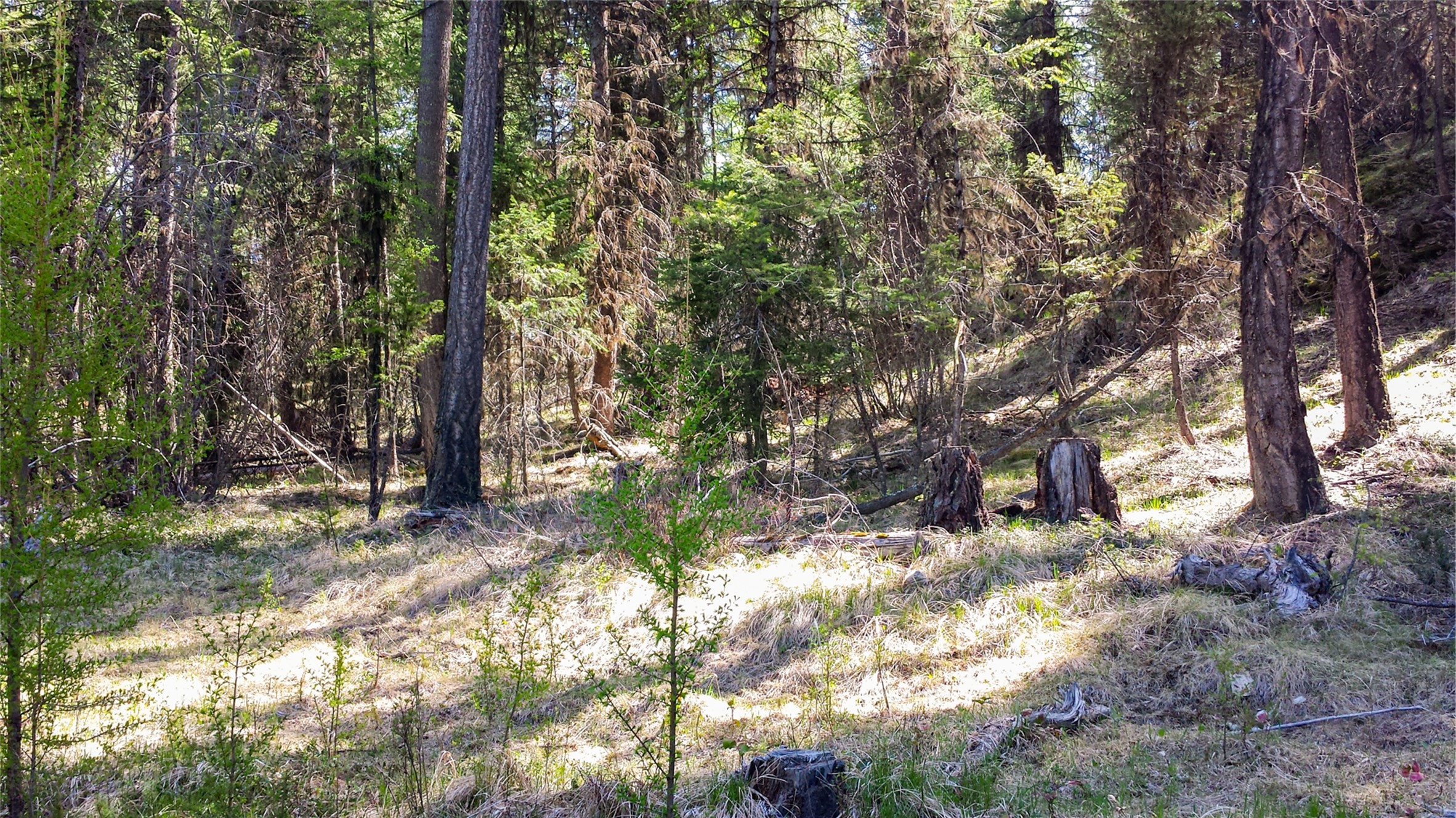 Lot 7 Whispering Pines