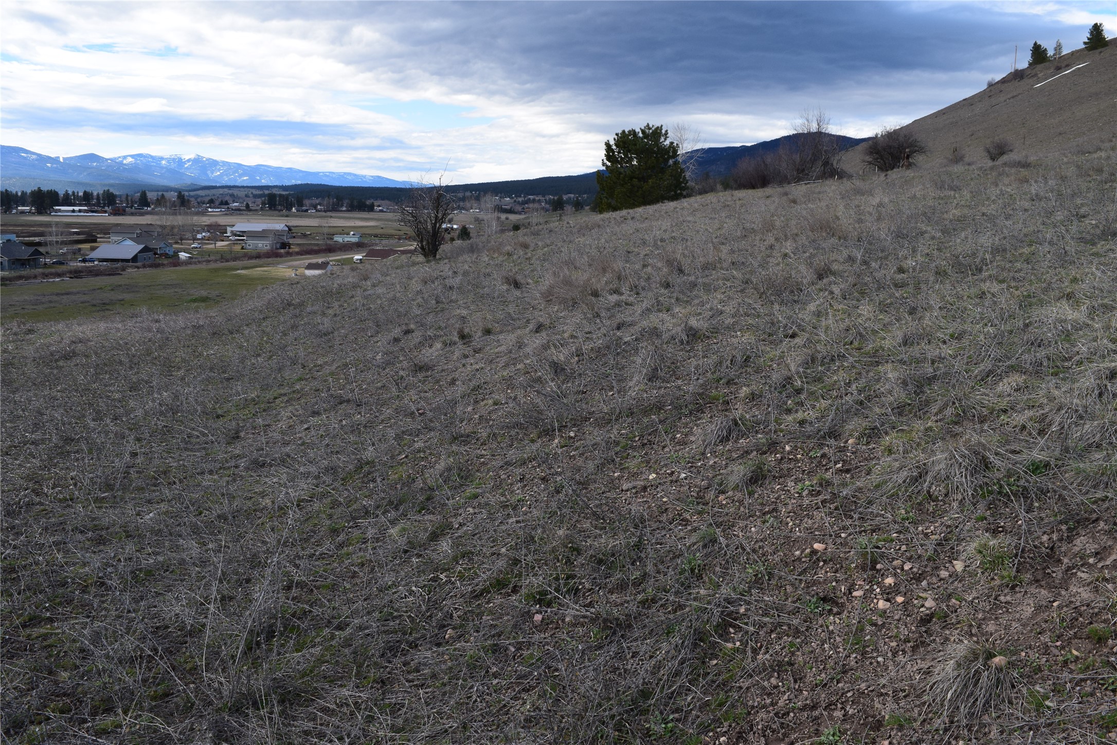 15440 Sara Jo Lane Property Photo 6