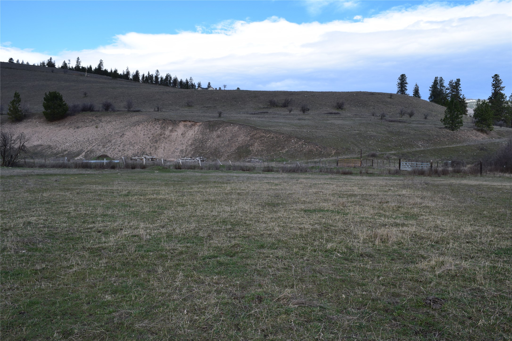 15440 Sara Jo Lane Property Photo 7