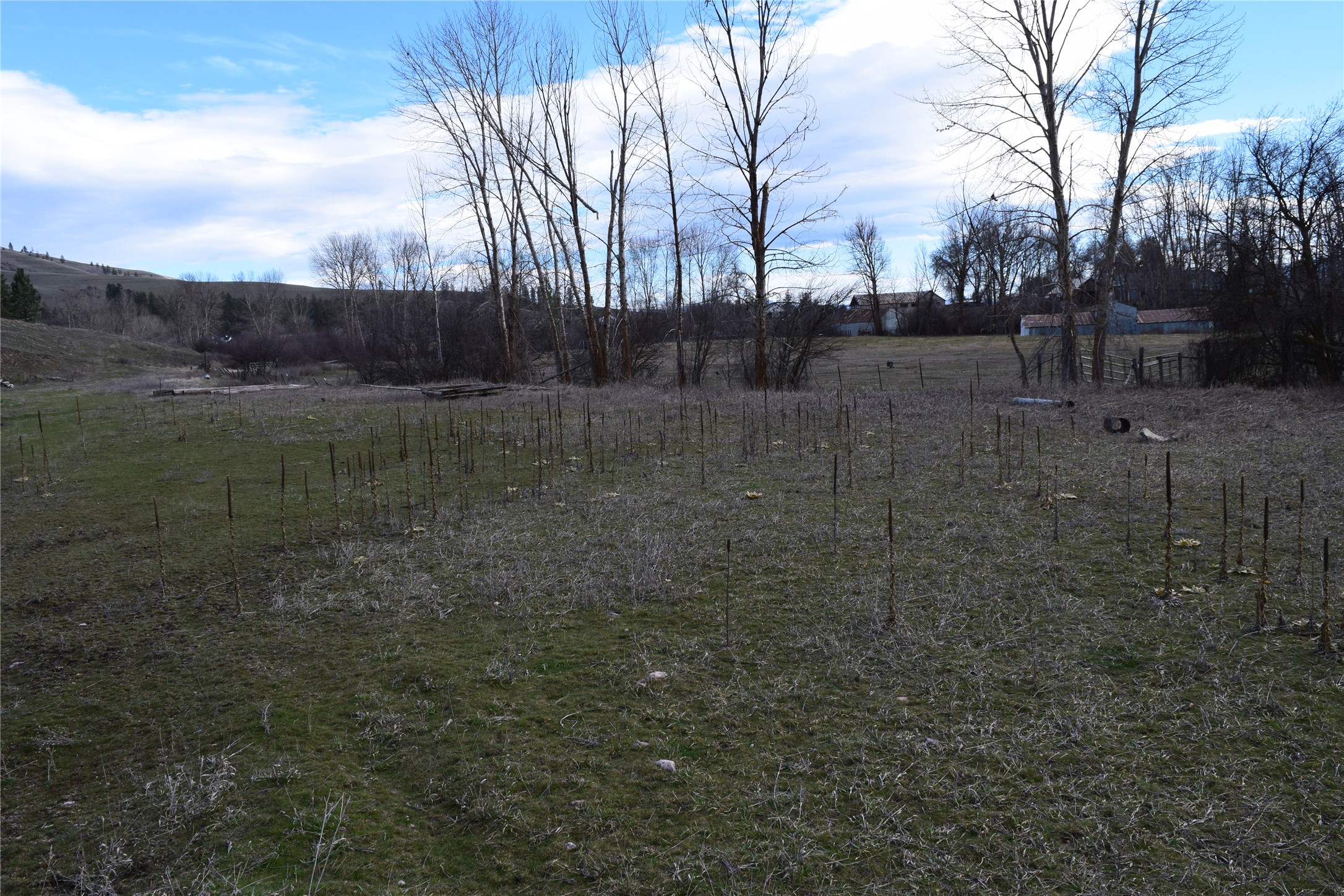 15440 Sara Jo Lane Property Photo 8