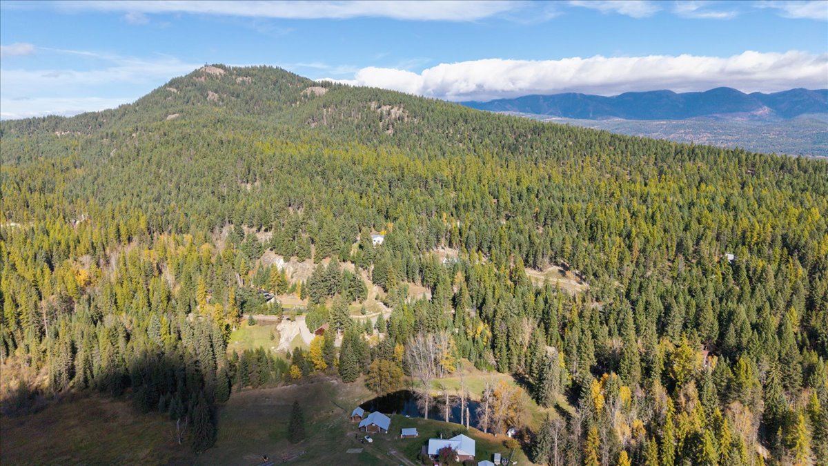 101 Little Mountain Road Property Photo 42