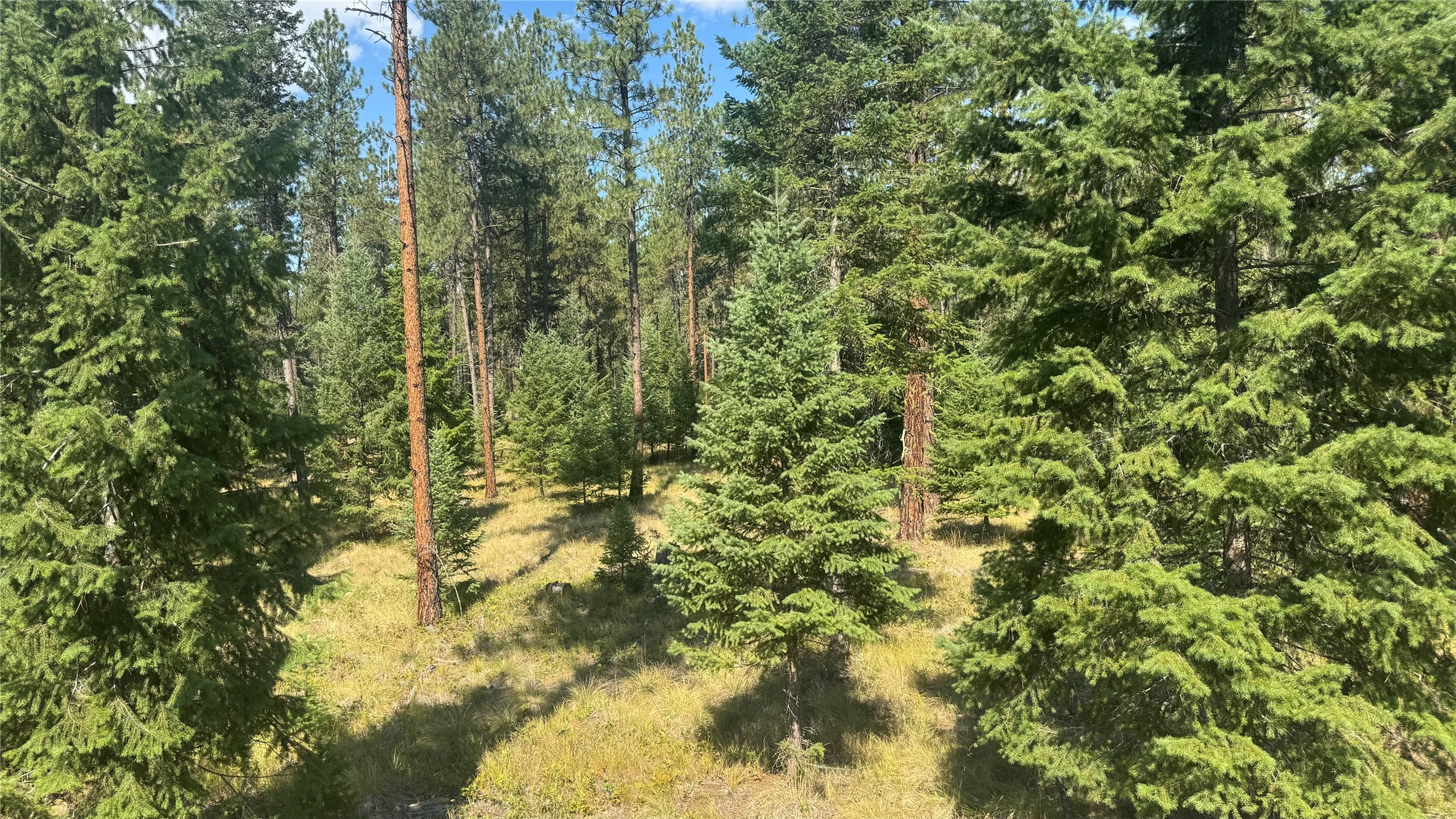 Nhn Hwy 37 Property Photo 3