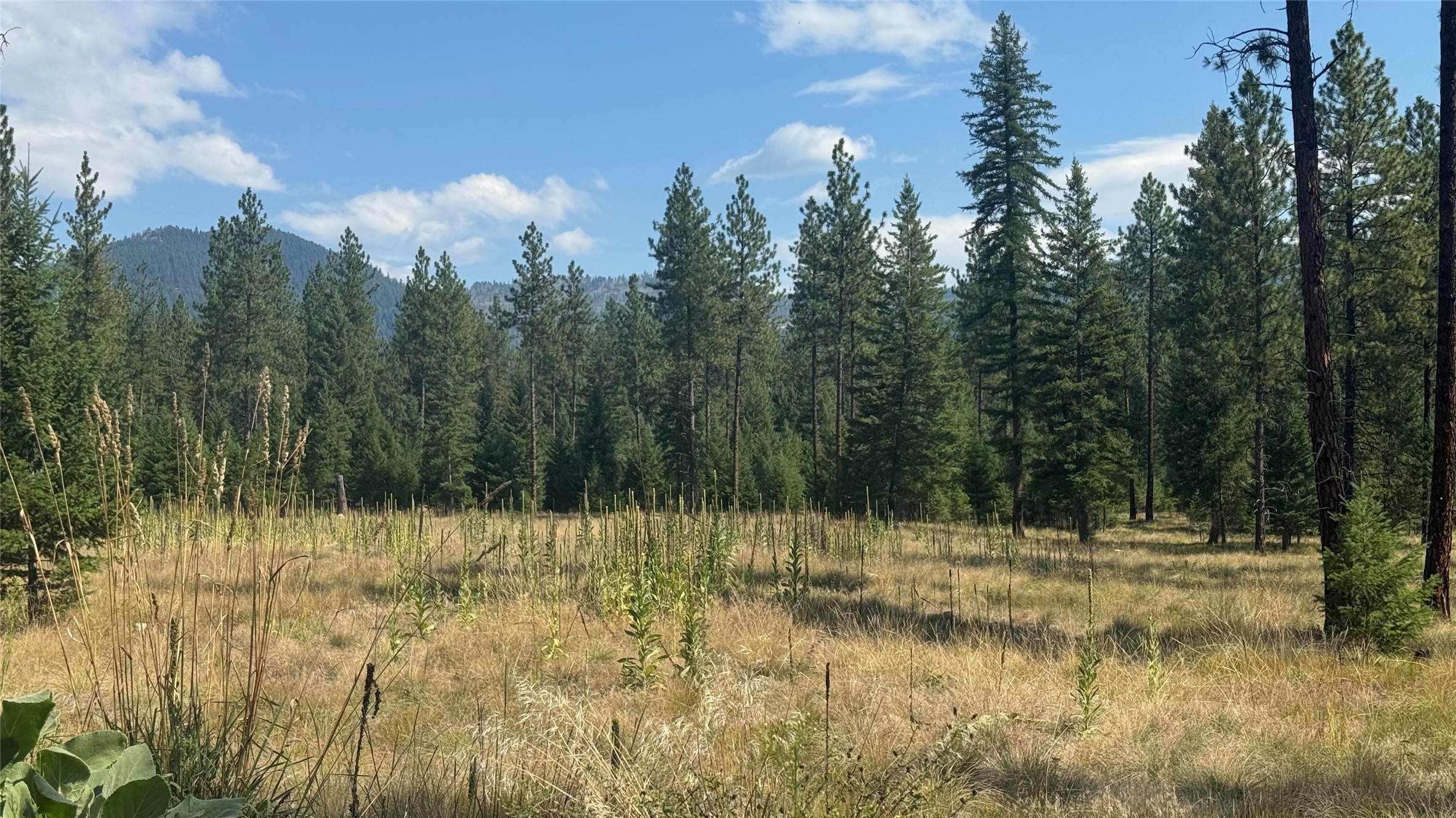 Nhn Hwy 37 Property Photo 4