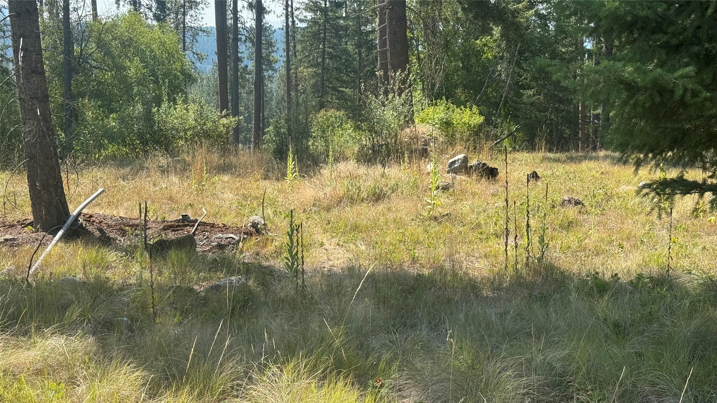 Nhn Hwy 37 Property Photo 5