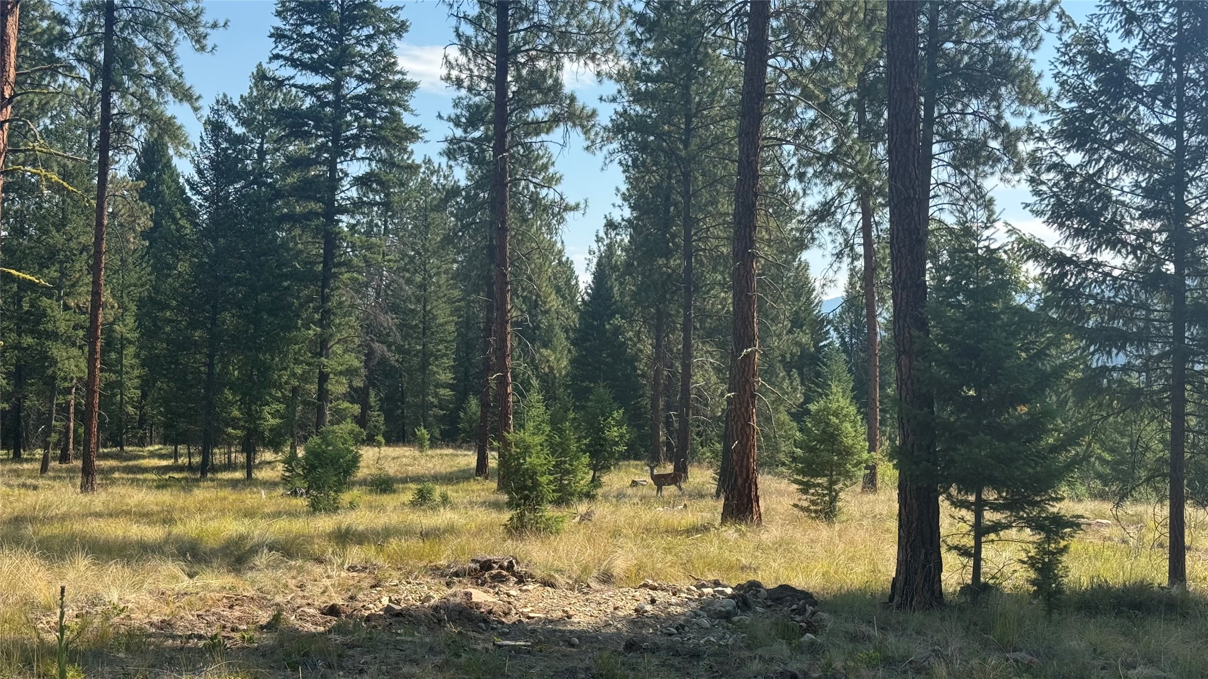 Nhn Hwy 37 Property Photo 6