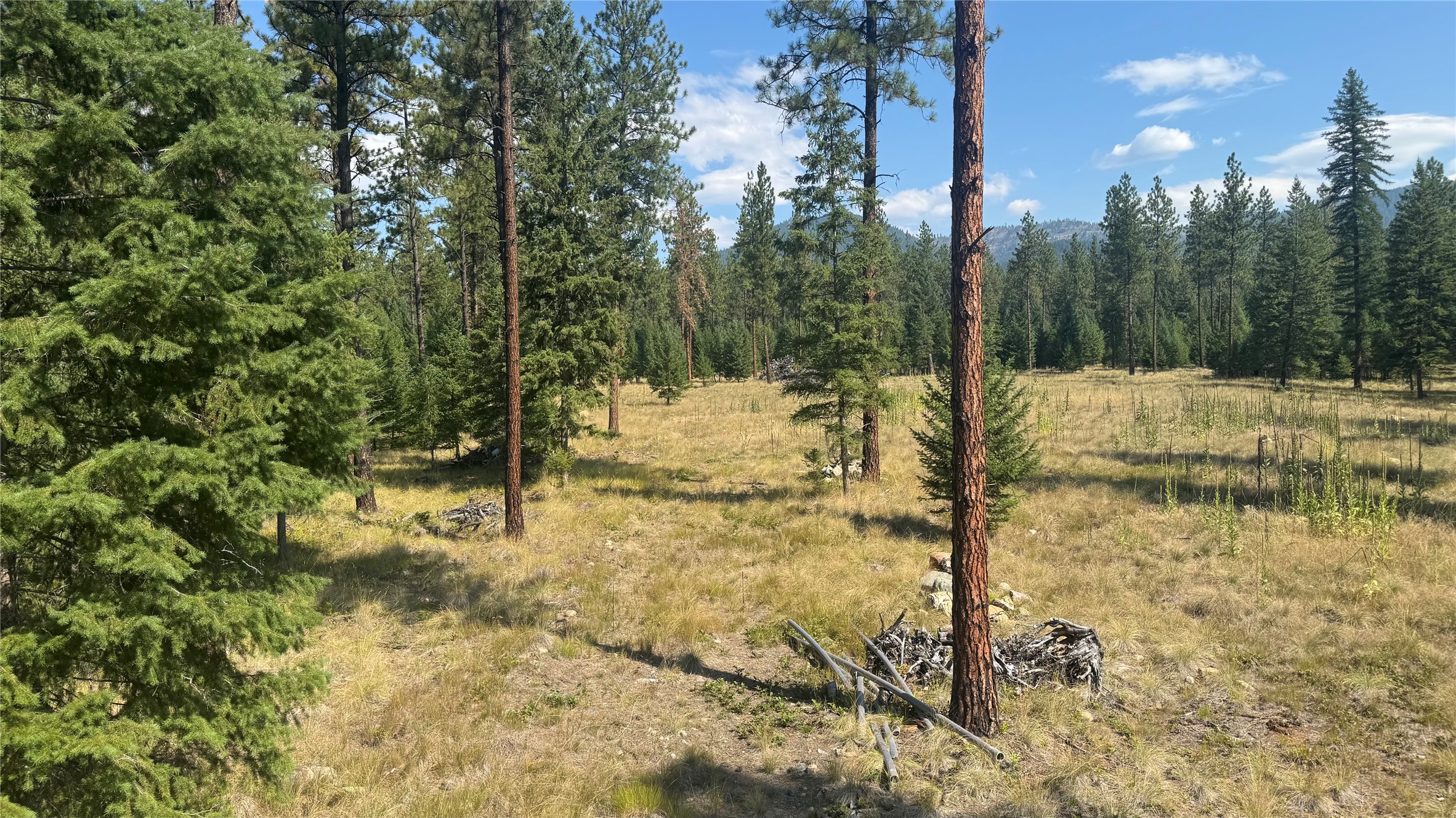 Nhn Hwy 37 Property Photo 8
