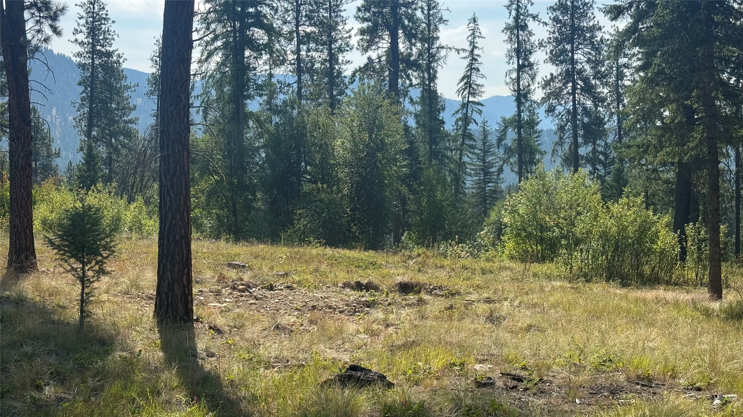 Nhn Hwy 37 Property Photo 10