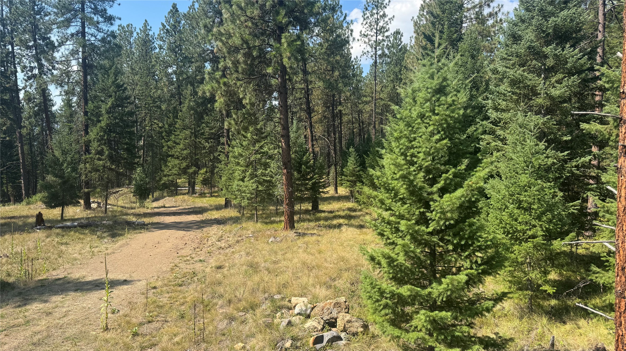 Nhn Hwy 37 Property Photo 11