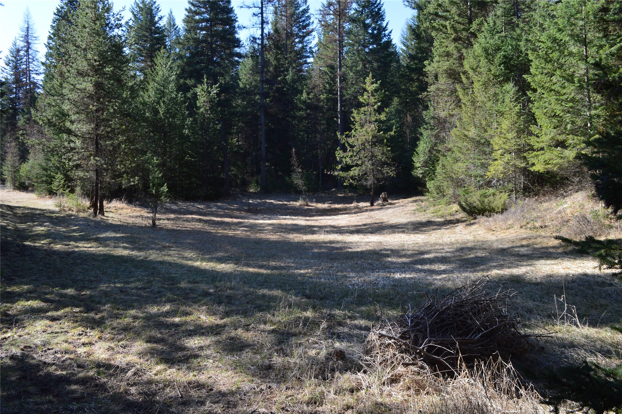 772 Rifle Range Road Property Photo 2