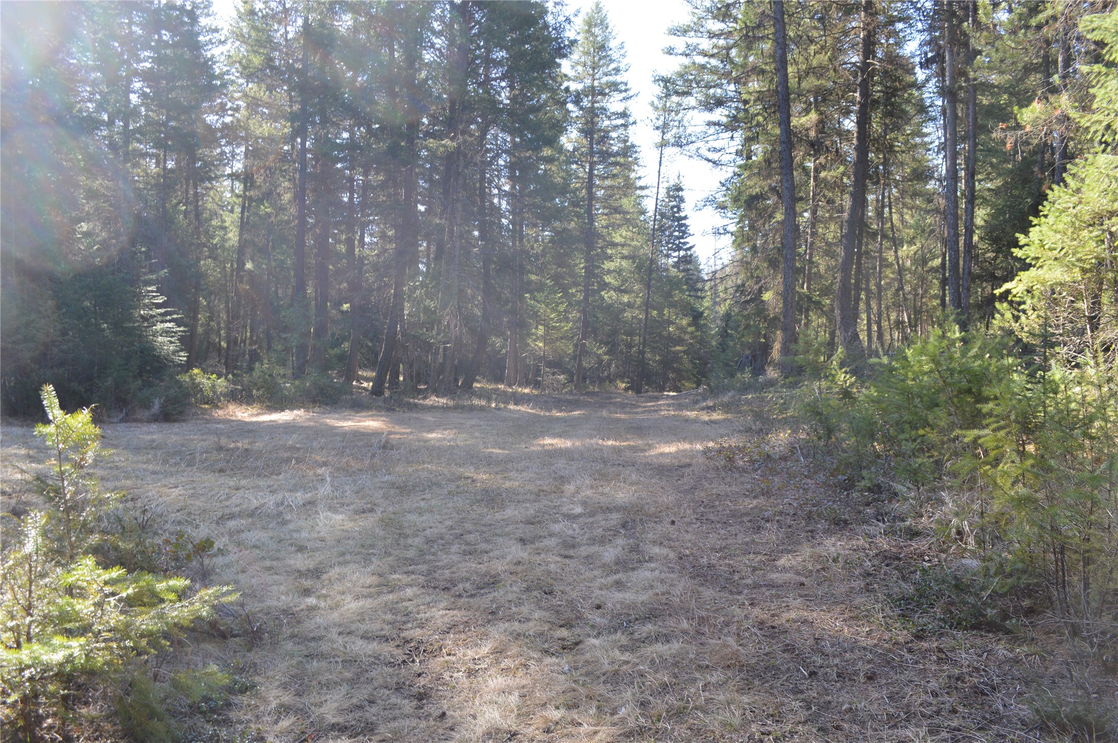772 Rifle Range Road Property Photo 3