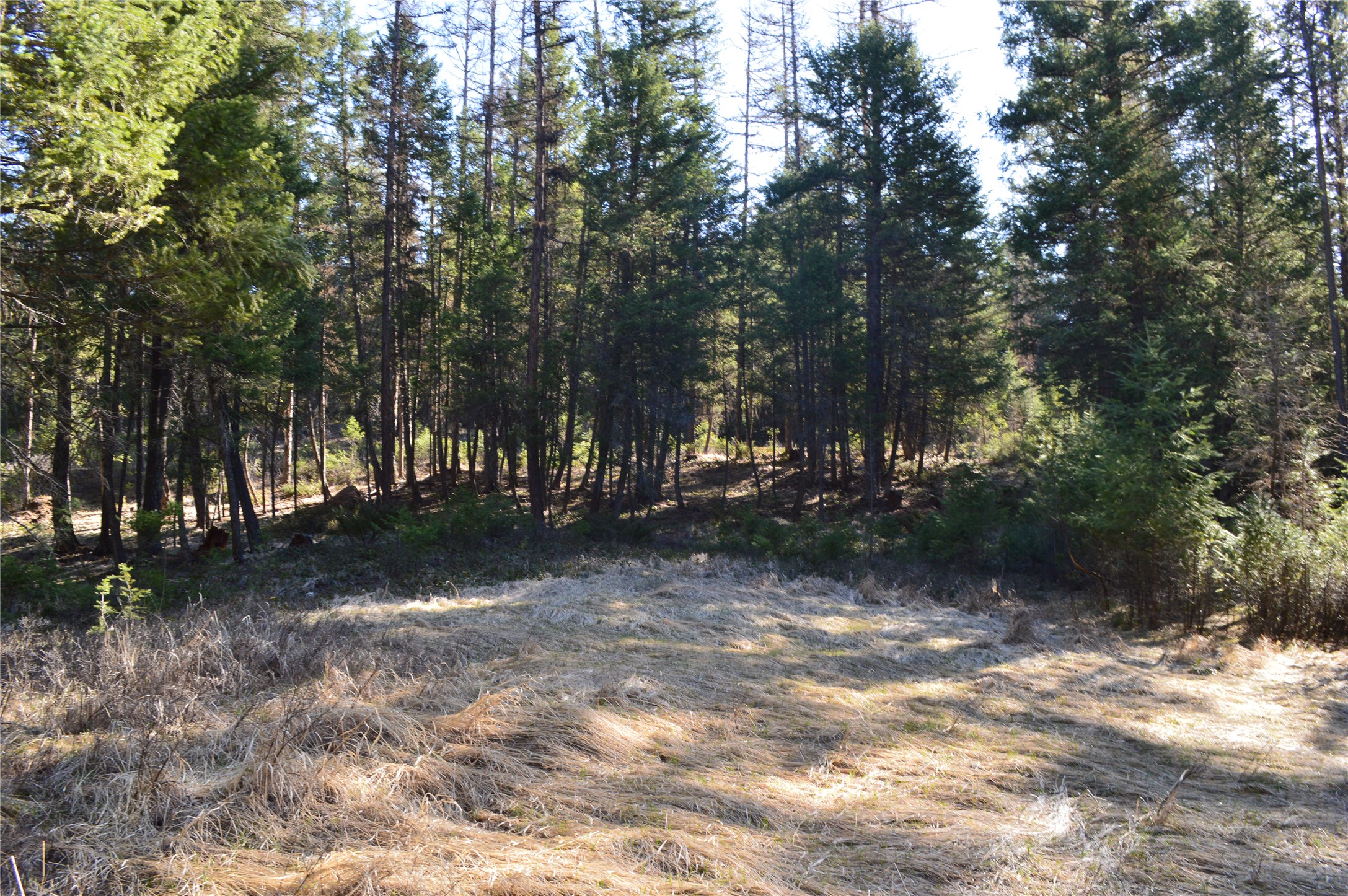 772 Rifle Range Road Property Photo 4