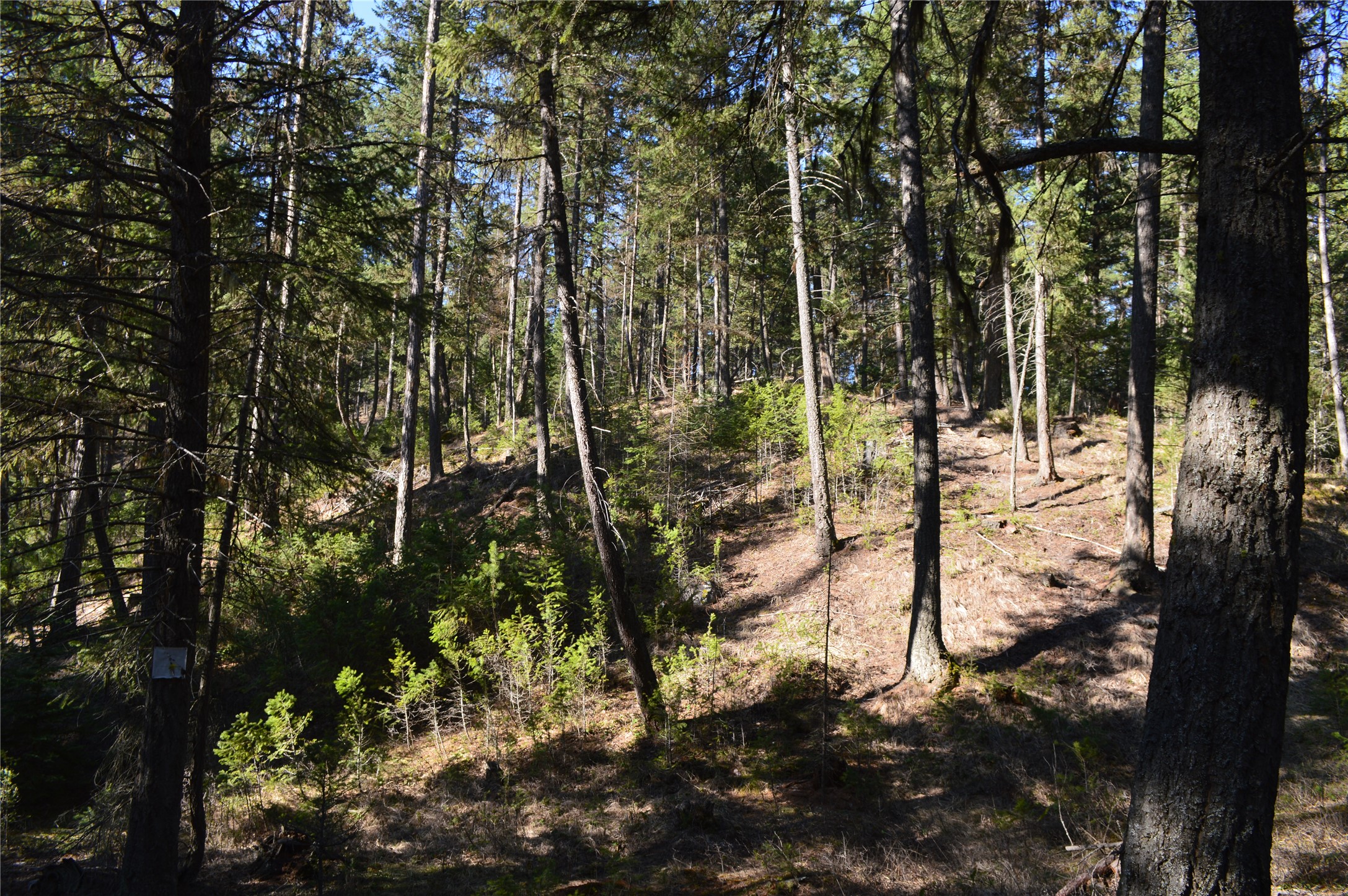 772 Rifle Range Road Property Photo 5