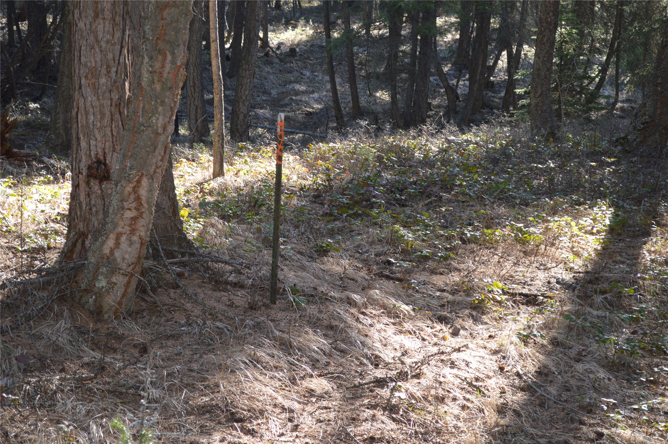 772 Rifle Range Road Property Photo 6